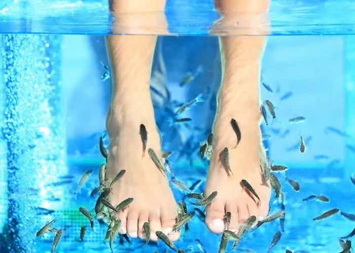 Du Beryl St Brevin L'ocean Hotel Saint-Brévin-les-Pins