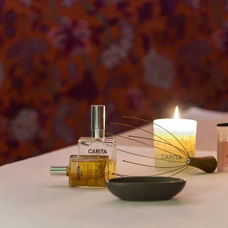Hotel Hôtel Spa du Beryl St Brévin l'Océan 3*